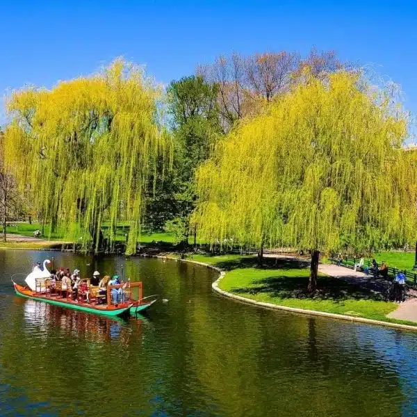 Boston