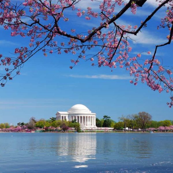 Washington DC